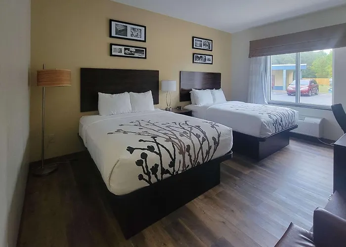 Top Water Park Hotels in Panama City