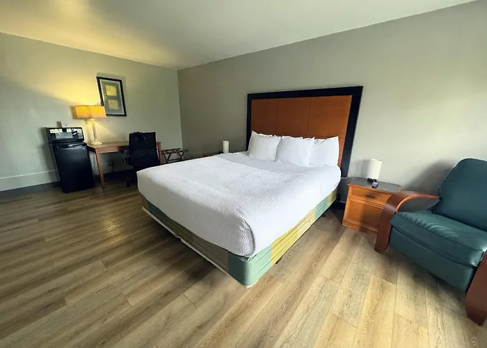 Top Hotels Near Port Tampa Bay Cruise Terminal