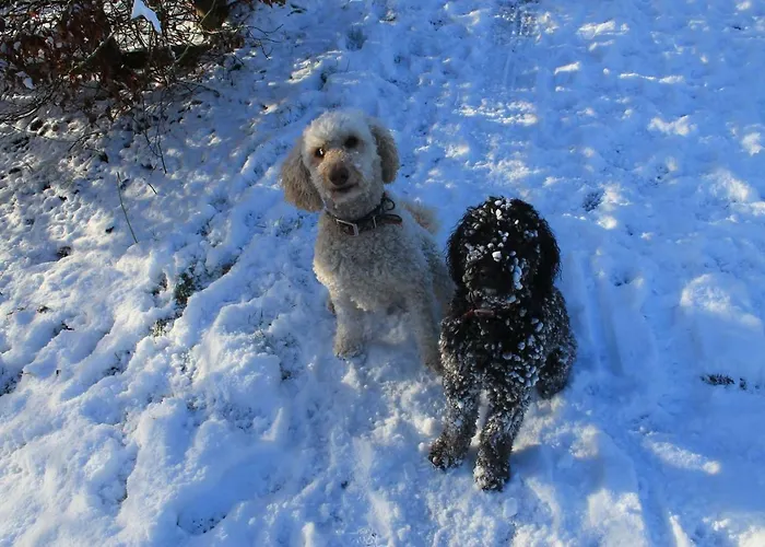 Top Hotels in Archiestown for Memorable Stays