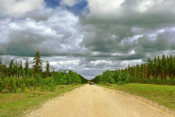 Wood Buffalo National Park in the Northwest Territories, Alberta, Canada - © Pecold / Shutterstock