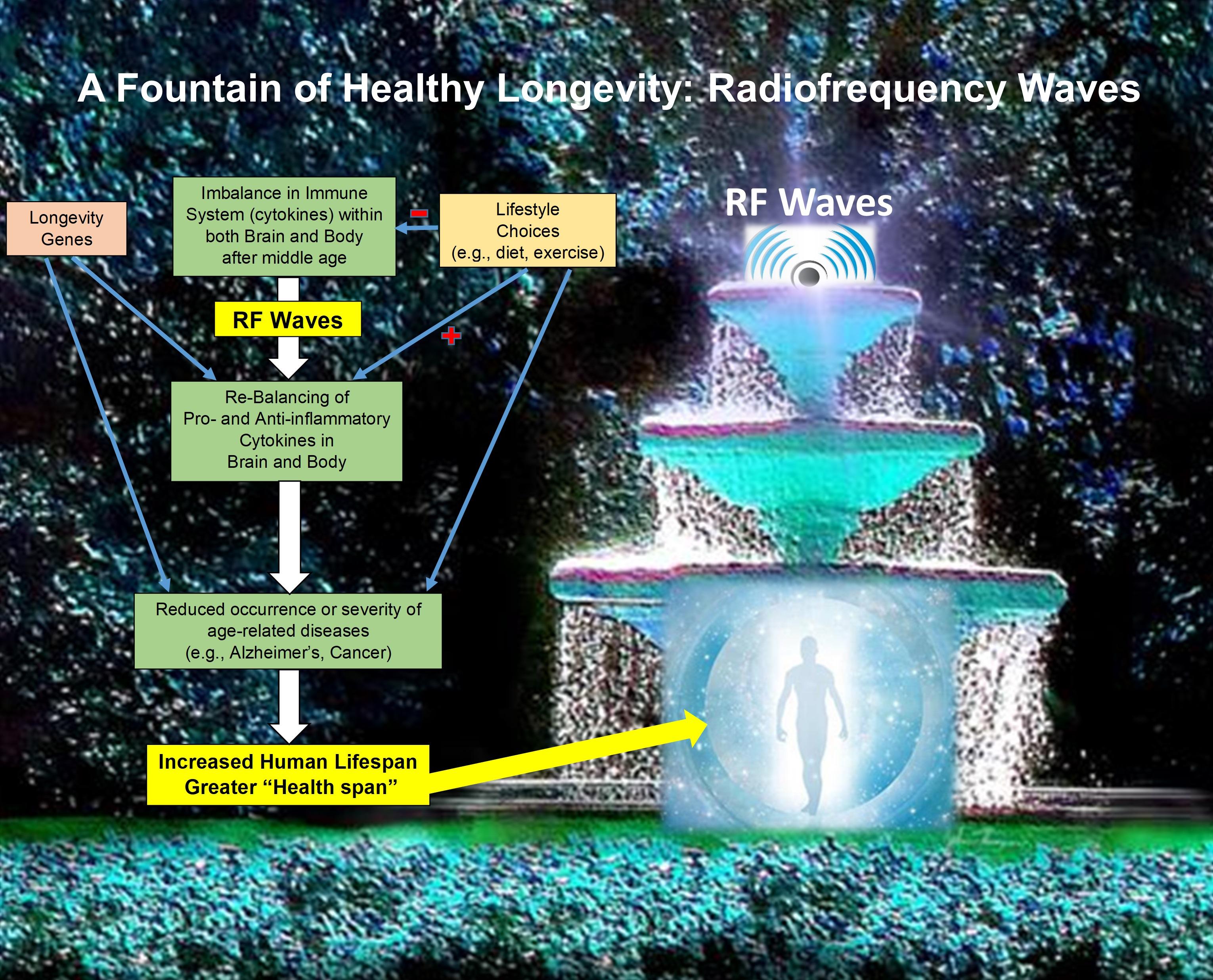 IJMS | Free Full-Text | Transcranial Electromagnetic Wave ...